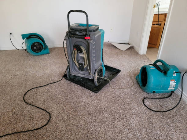 Best Flood damage cleanup  in Waikele, HI