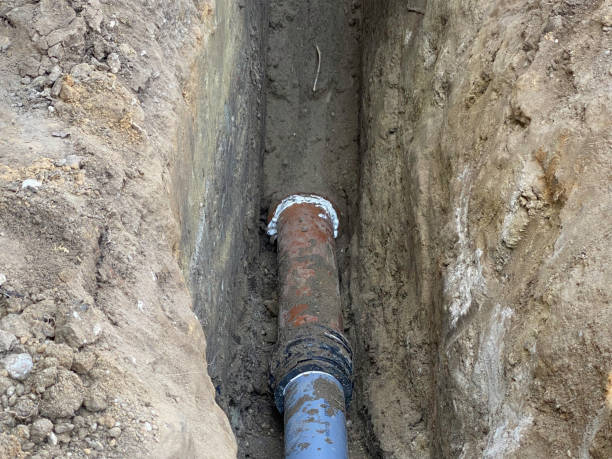Best Flood restoration services  in Waikele, HI