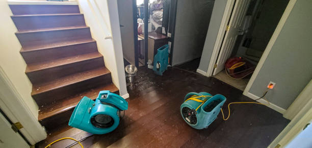 Best Carpet water damage restoration  in Waikele, HI