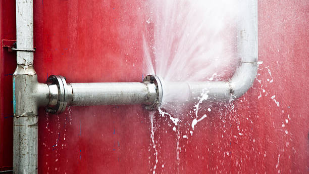 Best Basement water damage restoration  in Waikele, HI
